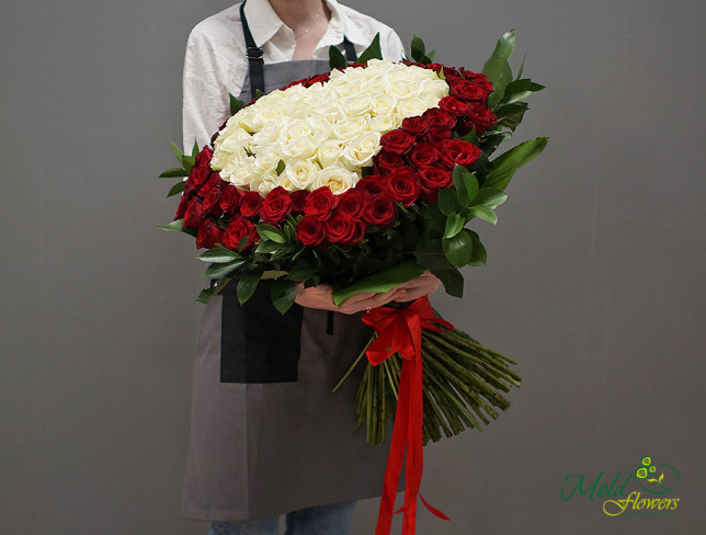 101 Красно-белая роза голландская с сердцем (60-70 см) (под заказ 5 дней) Фото